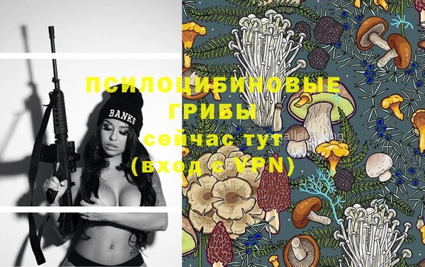 дурь Белоозёрский