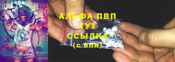 ПСИЛОЦИБИНОВЫЕ ГРИБЫ Белокуриха