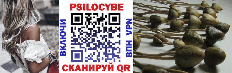 продажа наркотиков  Старица  Псилоцибиновые грибы мухоморы 