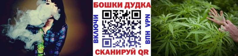Бошки марихуана индика  KRAKEN tor  Старица 